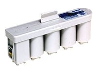 Epson SJIC1 - Negro - original - cartucho de tinta - para TM C100, C100 Auto Sheet Feeder Model, C100 Roll Paper Model C33S020411