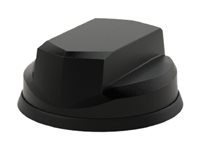 Panorama Antennas LG-IN2456 - Antena - cúpula - navegación, telefonía móvil - 9 dBi - omnidireccional - instalable en panel LG-IN2456-LC