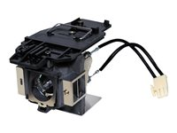 BenQ - Lámpara de proyector - UHP - 300 vatios - 2000 hora(s) (modo estándar) / 3000 hora(s) (modo económico) - para BenQ MX717, MX763, MX764 5J.J4N05.001?ES