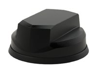 Panorama Antennas LG-IN2455 - Antena - cúpula - telefonía móvil - 9 dBi - omnidireccional - instalable en panel LP-IN2455-LC