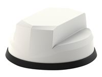 Panorama Antennas LG-IN2455 - Antena - cúpula - telefonía móvil - 9 dBi - omnidireccional - instalable en panel LP-IN2455-W-LC