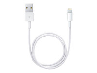 Apple - Cable Lightning - Lightning macho a USB macho - 50 cm - para iPad/iPhone/iPod (Lightning) ME291ZM/A