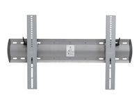 Ergotron - Kit de montaje (soporte para montaje en pared con inclinación) - Tecnología patentada Constant Force - para pantalla plana - XL - acero, aluminio extruido - plata - tamaño de pantalla: desde 42 pulgadas 61-142-003