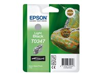Epson T0347 - 17 ml - negro claro - original - blíster - cartucho de tinta - para Stylus Photo 2100 C13T03474010