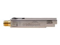 Cradlepoint MC20BT - Adaptador de red - Bluetooth 5.1 LE - para Cradlepoint E300, E3000 BF-MC20-BT