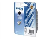 Epson T066 - Cartucho de impresión - 1 x negro - 220 páginas C13T06614010