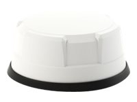 Panorama Antennas LP-IN2443 - Antena - cúpula - telefonía móvil - 9 dBi - omnidireccional - instalable en panel LP-IN2443-W-LC