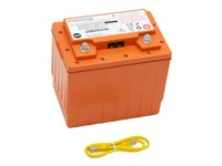 Ergotron StyleView - Batería - LiFePO4 - 45 Ah - para StyleView EMR Cart with LCD Arm, LiFe Powered, EMR Cart with LCD Pivot, LiFe Powered 97-618