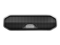 SanDisk - Disco duro - Enterprise - 4 TB - externo (sobremesa) - USB 3.2 Gen 2 (USB-C conector) - 7200 rpm SDPHF1A-004T-MBAAD