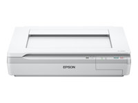Epson WorkForce DS-50000 - Escáner de sobremesa - A3 - 600 ppp x 600 ppp - hasta 4 ppm (mono) / hasta 4 ppm (color) - USB 2.0 B11B204131