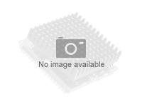 Intel Xeon Silver 4210R - 2.4 GHz - 10 núcleos - 20 hilos - 13.75 MB caché - para ThinkSystem SR530 7X07, 7X08; SR570 7Y02, 7Y03, 7Y04; SR630 7X01, 7X02 4XG7A37988