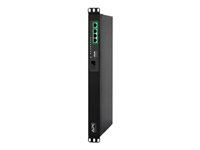 APC Easy Switched PDU EPDU1016S - Unidad de distribución de potencia (montaje en bastidor) - CA 200/208/230 V - 3680 VA - Ethernet - input: IEC 60320 C20 - conectores de salida: 8 (8 x IEC 60320 C13) - 1U - 2.5 m cable - negro EPDU1016S