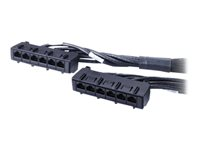 APC Data Distribution Cable - Cable de red - Conforme a la TAA - RJ-45 (H) a RJ-45 (H) - 18.3 m - UTP - CAT 6 - negro DDCC6-060