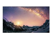 BenQ PL552 - 55" Clase diagonal (54.6" visible) - Super Narrow Bezel Series pantalla LCD con retroiluminación LED - señalización digital 1920 x 1080 - LED de iluminación directa 9H.F31PT.NA4