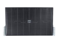 APC Smart-UPS RT 192V RM Battery Pack - Caja para baterías (montaje en bastidor) - 4 x baterías - Ácido de plomo - 6U - 19" - negro - para P/N: AR3103, AR3103SP, AR3106SP, AR3357X674, AR9300SP, AR9300SP-R, AR9307SP, AR9307SP-R SURT192RMXLBP2