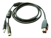 HP - Cable PoweredUSB - para Engage Thermal Receipt Printer; Engage One; RP9 G1 Retail System BM477AA