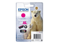 Epson 26XL - 8.7 ml - XL - magenta - original - blíster - cartucho de tinta - para Expression Premium XP-510, 520, 600, 605, 610, 615, 620, 625, 700, 710, 720, 800, 810, 820 C13T26334012