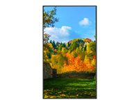 NEC MultiSync m551 - 55" Clase diagonal M Series pantalla LCD con retroiluminación LED - señalización digital - con pantalla táctil (multitáctil) - 4K UHD (2160p) 3840 x 2160 - HDR - iluminado en el borde - negro, pantone 426M 60005082