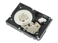 Dell - Disco duro - 1 TB - interno - 3.5" - SATA 6Gb/s - 7200 rpm - para PowerEdge T130, T30, T330, T430; PowerEdge R230, R240, R330, R430, R7415, T140, T440 400-AUPW