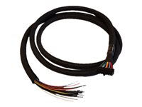 Cradlepoint - Cable GPIO - Molex de doble fila de 20 pines a alambre desnudo - 1.98 m - para COR IBR1700-1200M, IBR1700-1200M-B, IBR1700-600M 170712-000