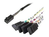 Intel - Cable ATA / SAS - straight thru - 4 pistas - SATA (H) a 4 x Mini SAS HD (SFF-8643) (M) - 45 cm - conector recto AXXCBL450HD7S