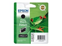 Epson T0541 - 13 ml - Photo Negro - original - blíster con alarmas de RF/acústica - cartucho de tinta - para Stylus Photo R1800, R800 C13T05414020