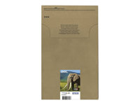Epson 24XL Multipack Easy Mail Packaging - Paquete de 6 - 55.7 ml - XL - negro, amarillo, cián, magenta, magenta claro, cián claro - original - caja - cartucho de tinta - para Expression Photo XP-55, XP-750, XP-760, XP-850, XP-860, XP-950, XP-960, XP-970 C13T24384510