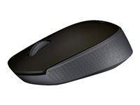 Logitech M170 - Ratón - inalámbrico - 2.4 GHz - receptor inalámbrico USB 910-004642