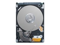 Dell - Disco duro - 1.2 TB - hot-swap - 2.5" - SAS 12Gb/s - 10000 rpm 400-AUUY