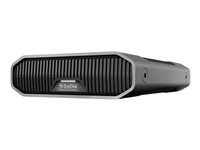 SanDisk - Disco duro - Enterprise - 12 TB - externo (sobremesa) - USB 3.2 Gen 2 (USB-C conector) - 7200 rpm SDPHF1A-012T-MBAAD