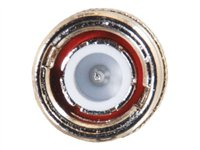 C2G - Adaptador de vídeo - RCA hembra a BNC macho - oro 80410