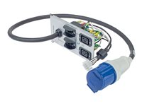 APC - Unidad de distribución de alimentación - CA 230 V - input: potencia - conectores de salida: 3 (IEC 60320 C19, IEC 60309) - para Symmetra RM 12kVA, 2kVA, 4kVA, 6, 8kVA SYPD10