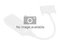 PNY - Adaptador de pantalla - enlace simple - DisplayPort (M) a DVI-D (H) QSP-DPDVISL
