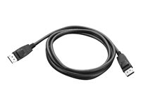 Lenovo - Cable DisplayPort - DisplayPort (M) a DisplayPort (M) - 1.8 m - para ThinkCentre M80s Gen 3; M80t Gen 3; M90a Gen 3; M90q Gen 2; M90s Gen 3; M90t Gen 3 0A36537